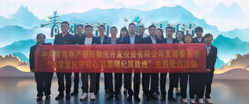 朝物開投公司黨支部召開&ldquo;深學(xué)黨紀(jì)守初心 以案明紀(jì)筑防線&rdquo;主題黨日活動