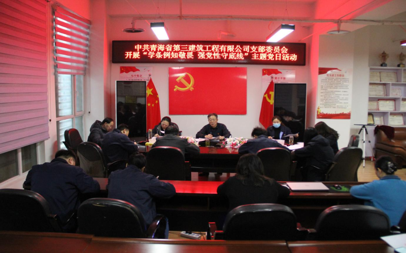 中共青海省第三建筑工程有限公司支部委員會 開展&ldquo;學(xué)條例知敬畏 強黨性守底線&rdquo; 主題黨日活動