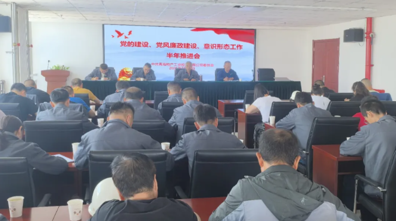 工投公司黨委召開黨的建設(shè)、黨風(fēng)廉政建設(shè)、意識(shí)形態(tài)工作半年推進(jìn)會(huì)