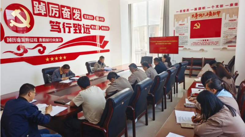 朝開(kāi)公司黨支部召開(kāi)端午節(jié)前廉潔警示教育專題會(huì)