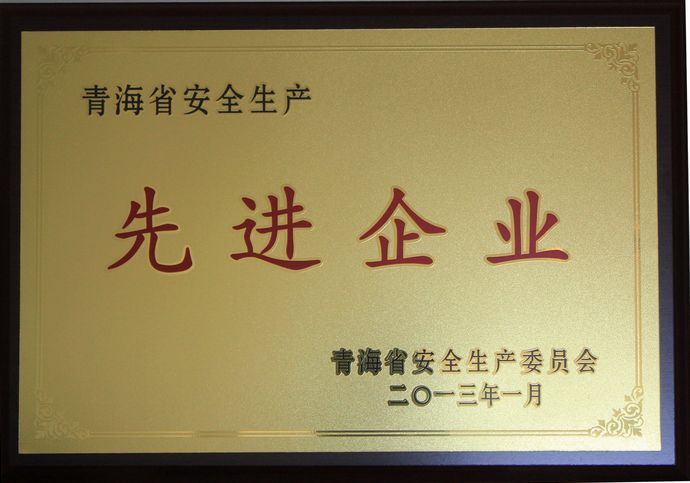 青海物產(chǎn)榮獲&ldquo;2012年度安全生產(chǎn)先進企業(yè)&rdquo;榮譽稱號